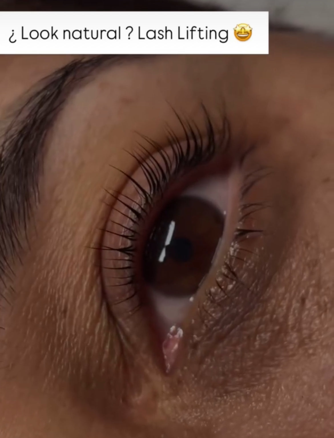 CURSO LASH LIFTING en Puerto Rico | Levantamiento de pestañas | Presencial